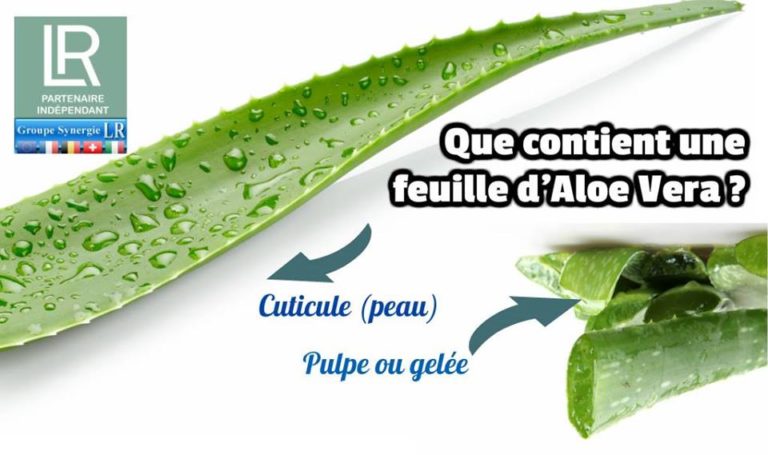 17264447 1227010260681153 1938085990185977571 n 768x455