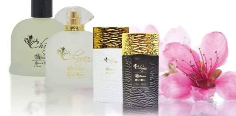 45544023 256307305230578 3389557343548080128 n 768x379