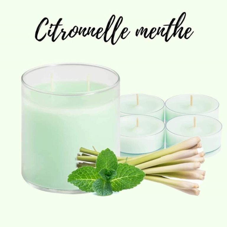 101481325 917528068711201 5395829149824712704 n 768x768