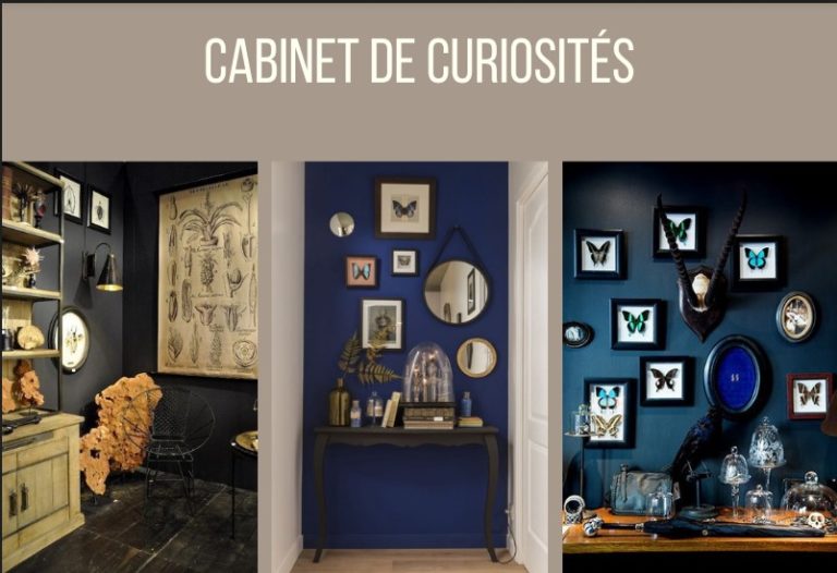 Cainet de curiosites 768x526