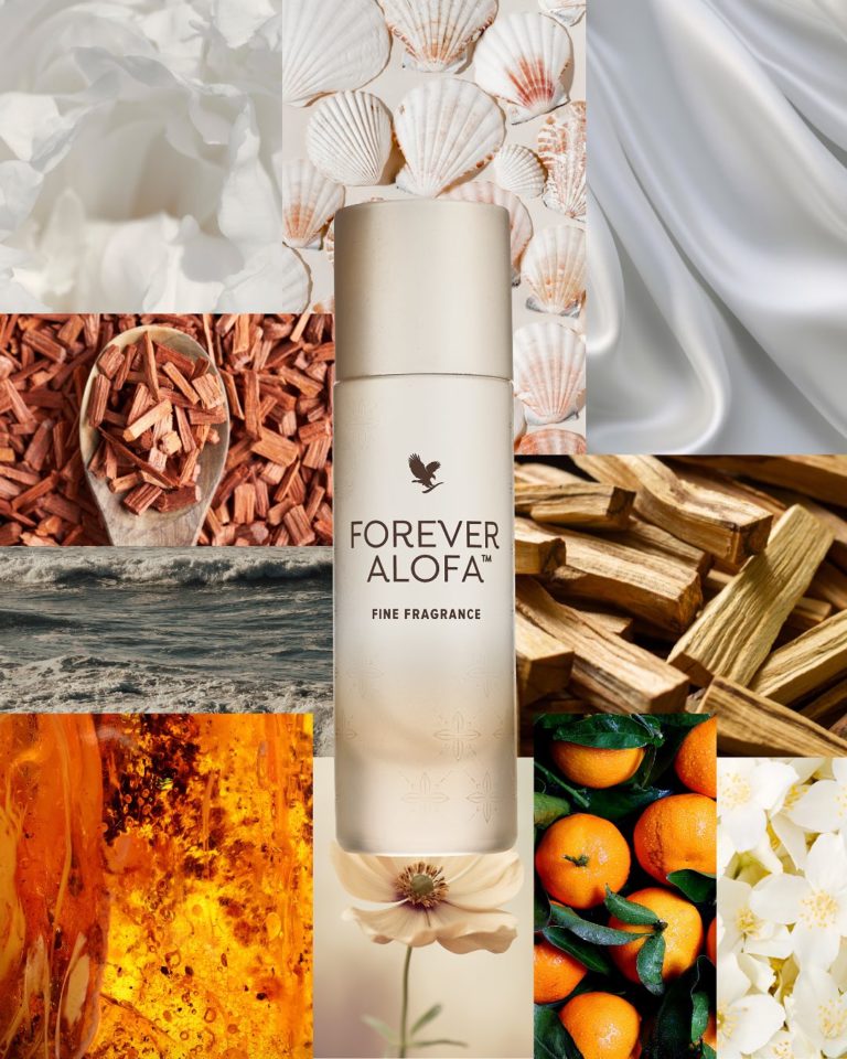 478456080 18487541692003945 4850055970173513759 n 768x960